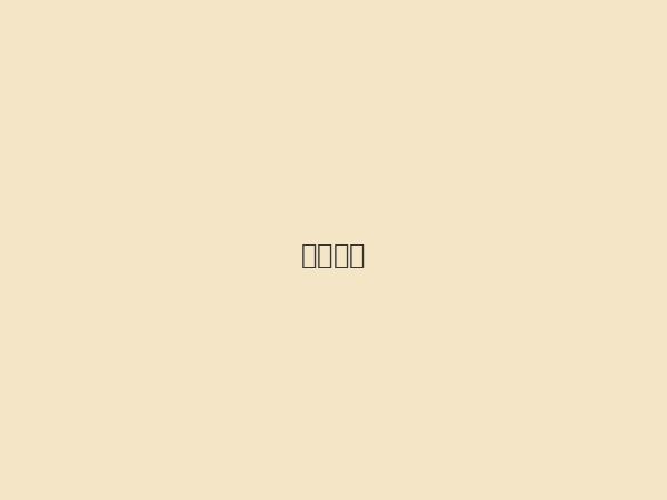 团队介绍